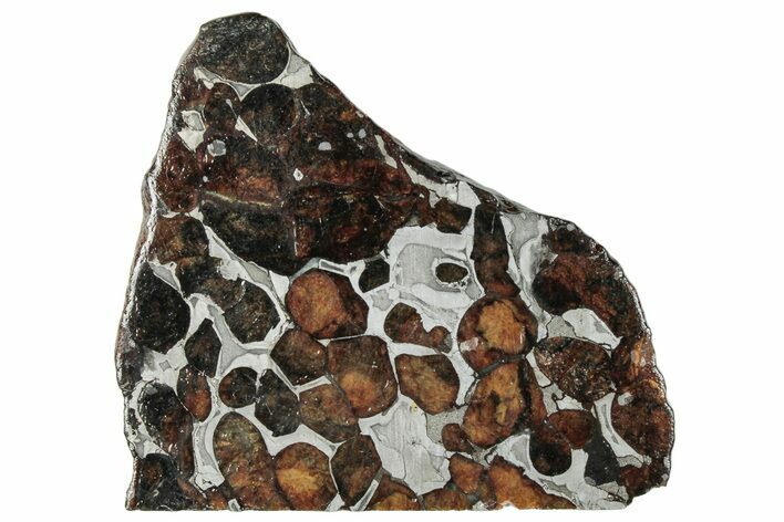 Polished Sericho Pallasite Meteorite ( g) Slice - Kenya #294884